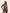 Conjunto de Lingerie Layla - DE RENDA LINGERIE