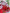 Lingerie de Luxo Carol - DE RENDA LINGERIE