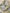 Lingerie Fio Dental Eduarda - DE RENDA LINGERIE