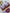 Lingerie Tomara Que Caia Yasmim - DE RENDA LINGERIE